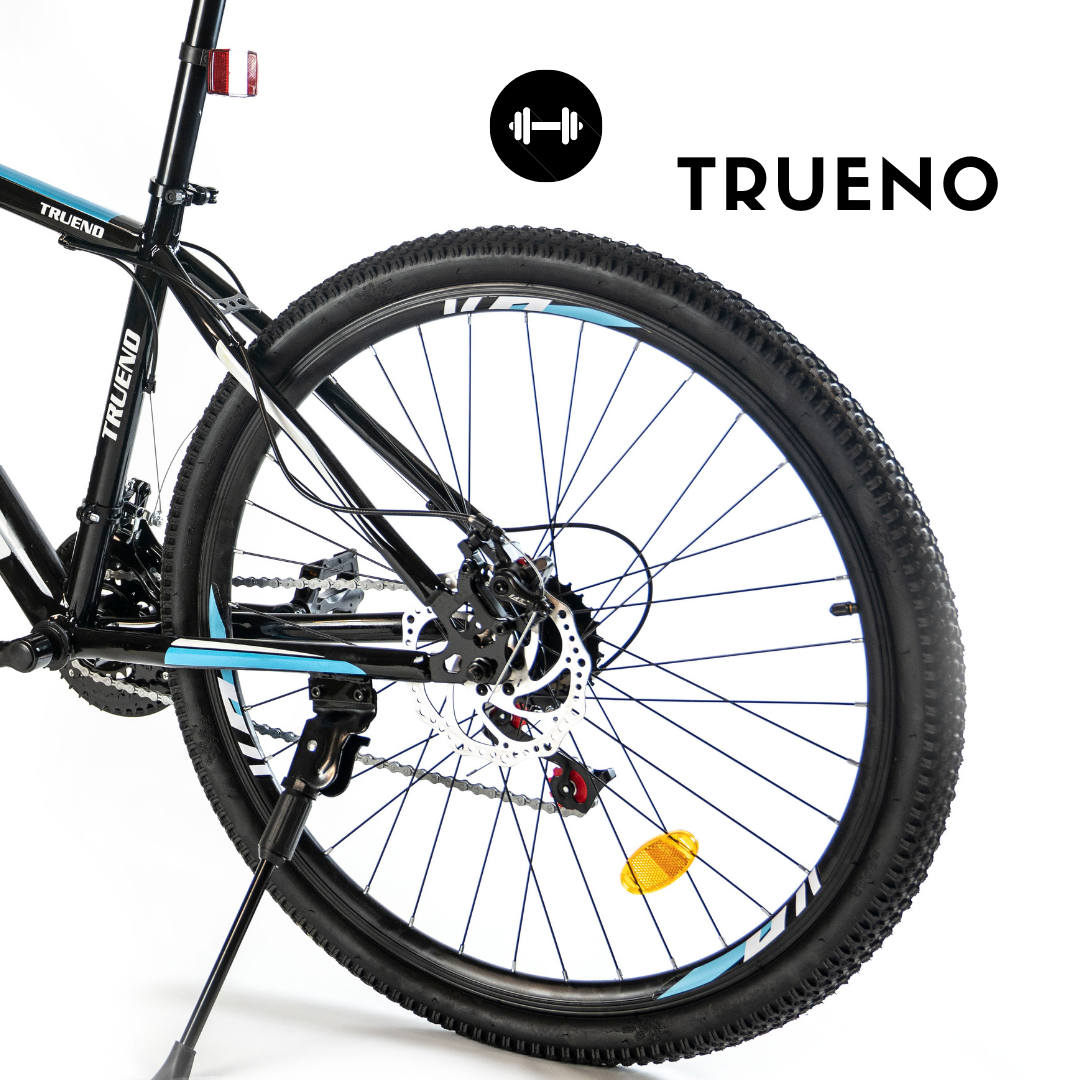 Bicicleta De Montaña Trueno Negra r26 21v - Bagore